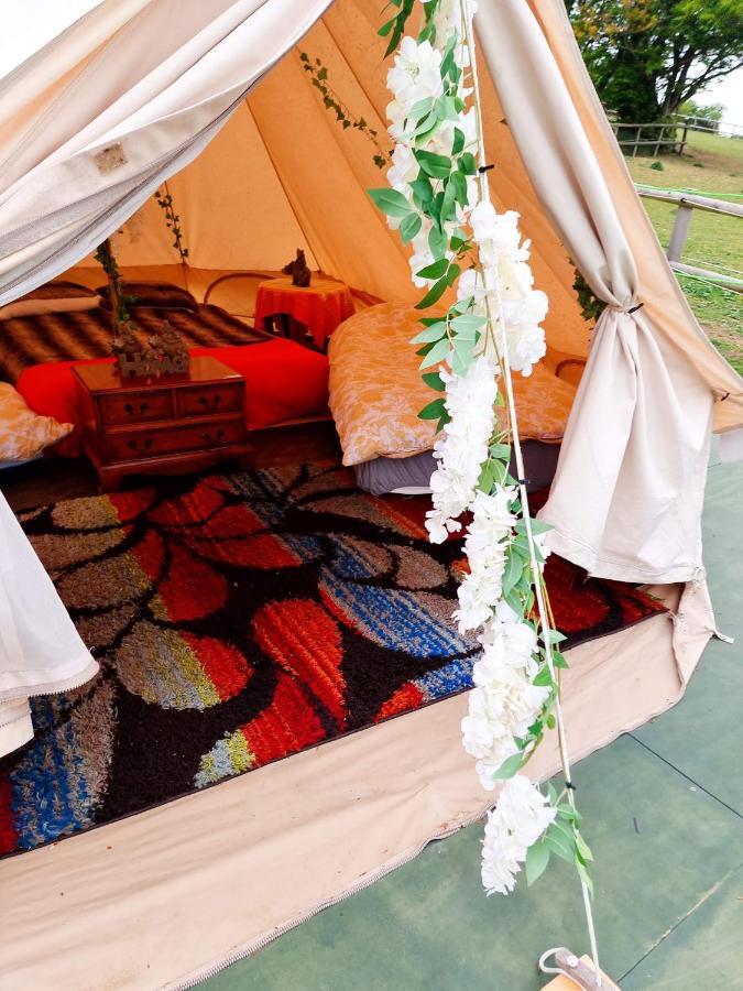 Walnut Tree Glamping Hotell Sturry Eksteriør bilde