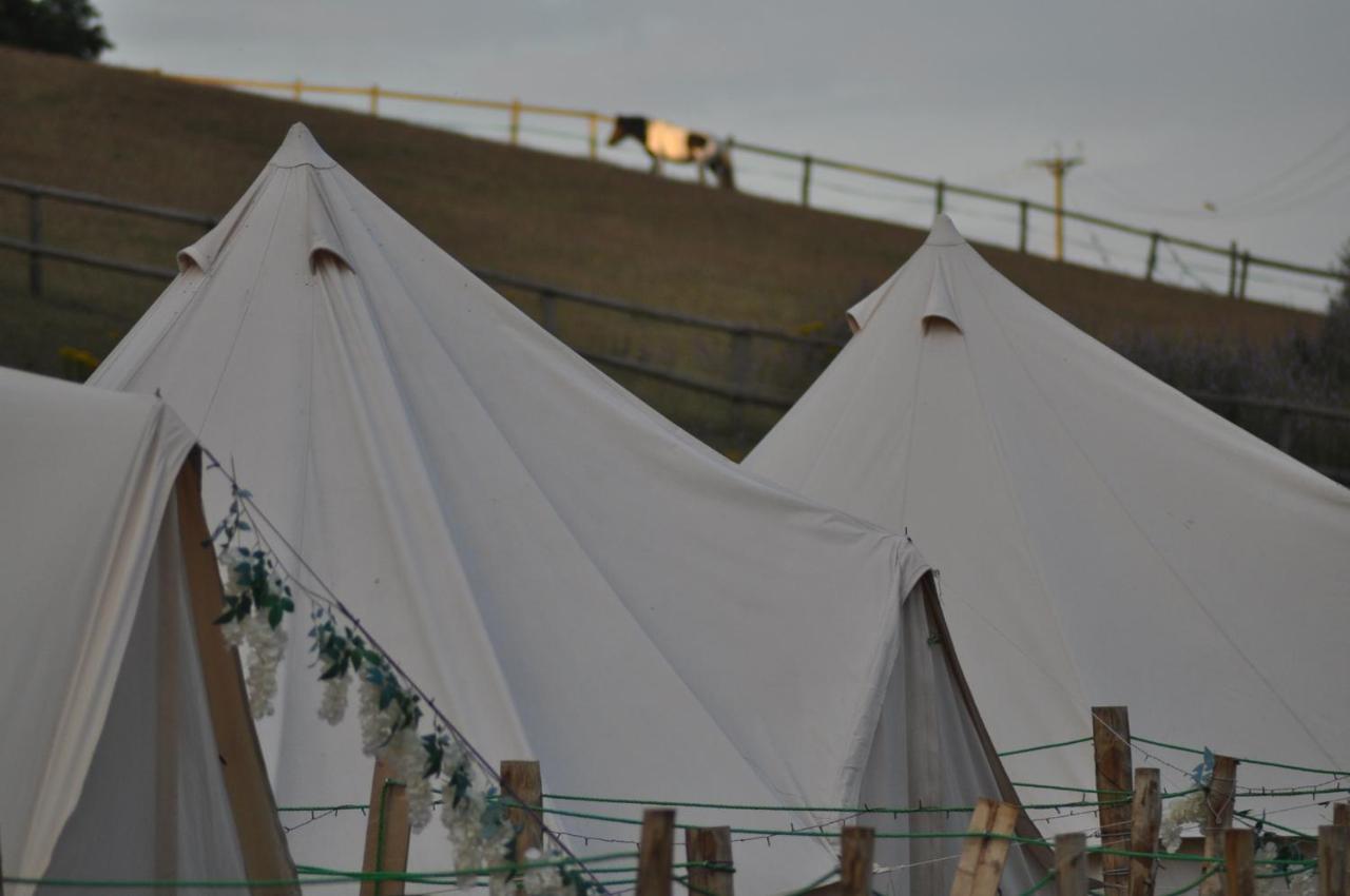 Walnut Tree Glamping Hotell Sturry Eksteriør bilde